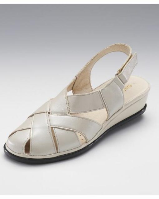 Officetoevening.shop571ab91830 1