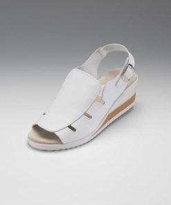 Officetoevening.shop5e0c61bce4 1