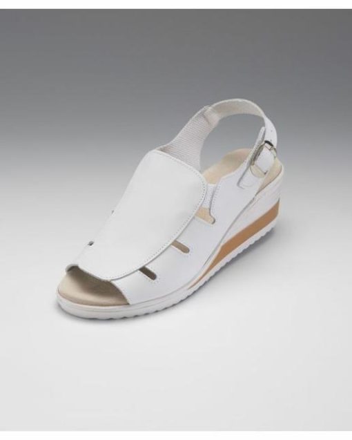 Officetoevening.shop5e0c61bce4 1