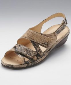 Officetoevening.shop6938aedd21 1