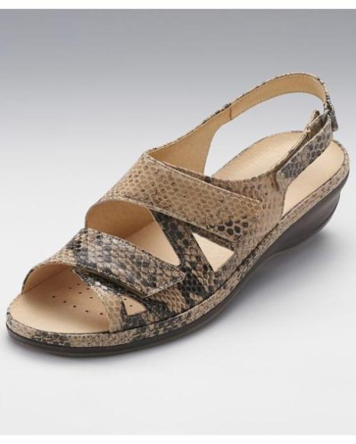 Officetoevening.shop6938aedd21 1