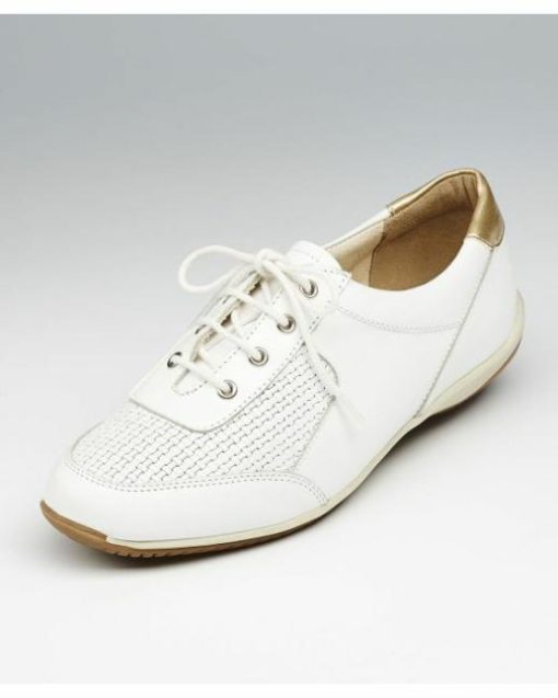 Officetoevening.shope83d4362a0 1